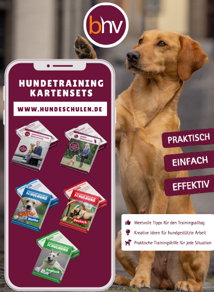 Jetzt mit den BHV Übungskartensets perfekt auf die Prüfungen vorbereiten