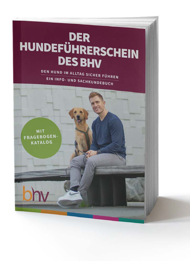 Der Hundeführerschein des BHV – Den Hund im Alltag sicher führen