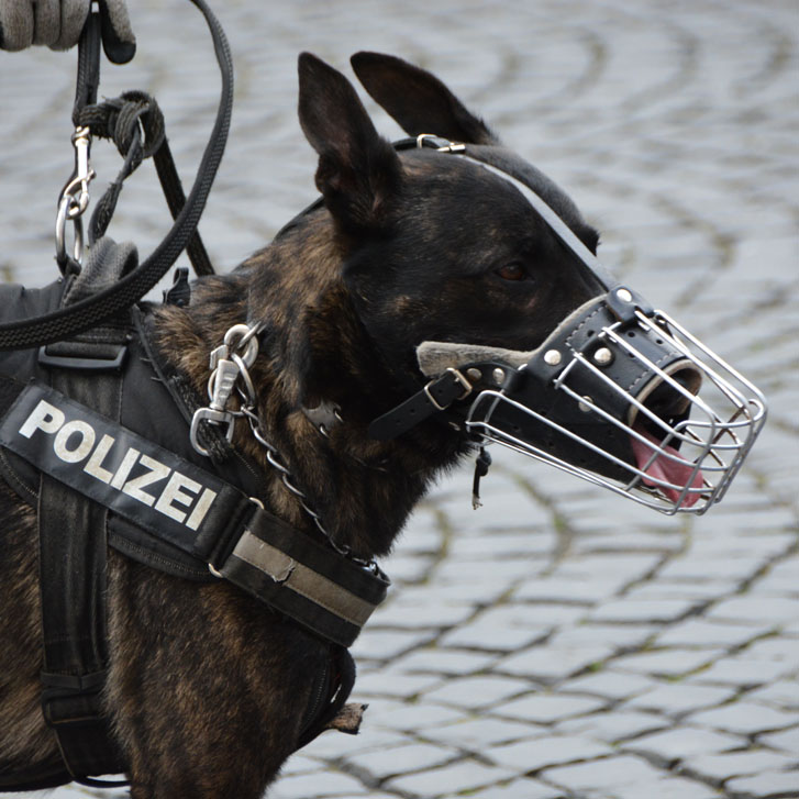 police 1321255