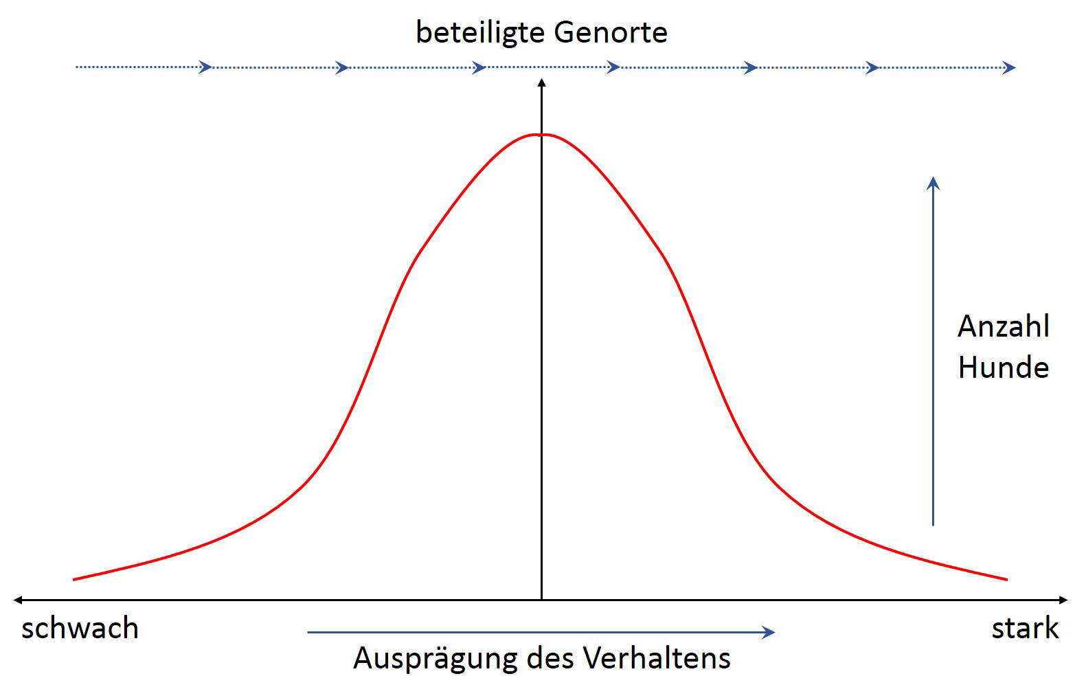 Diagramm: Ch. Beitzinger GlockenkurveVerhalten