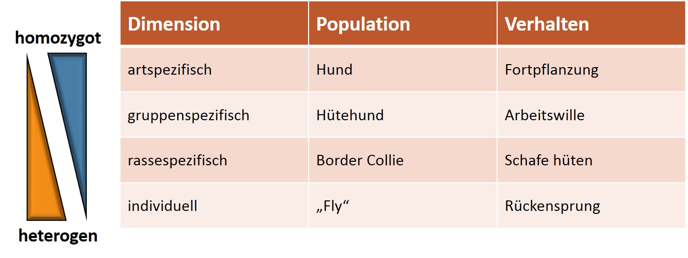 Diagramm/Tabelle: Ch. Beitzinger TabelleVerhalten
