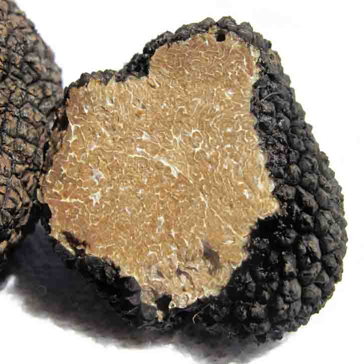 Foto: Pixabay.com truffle 203031 edited 1