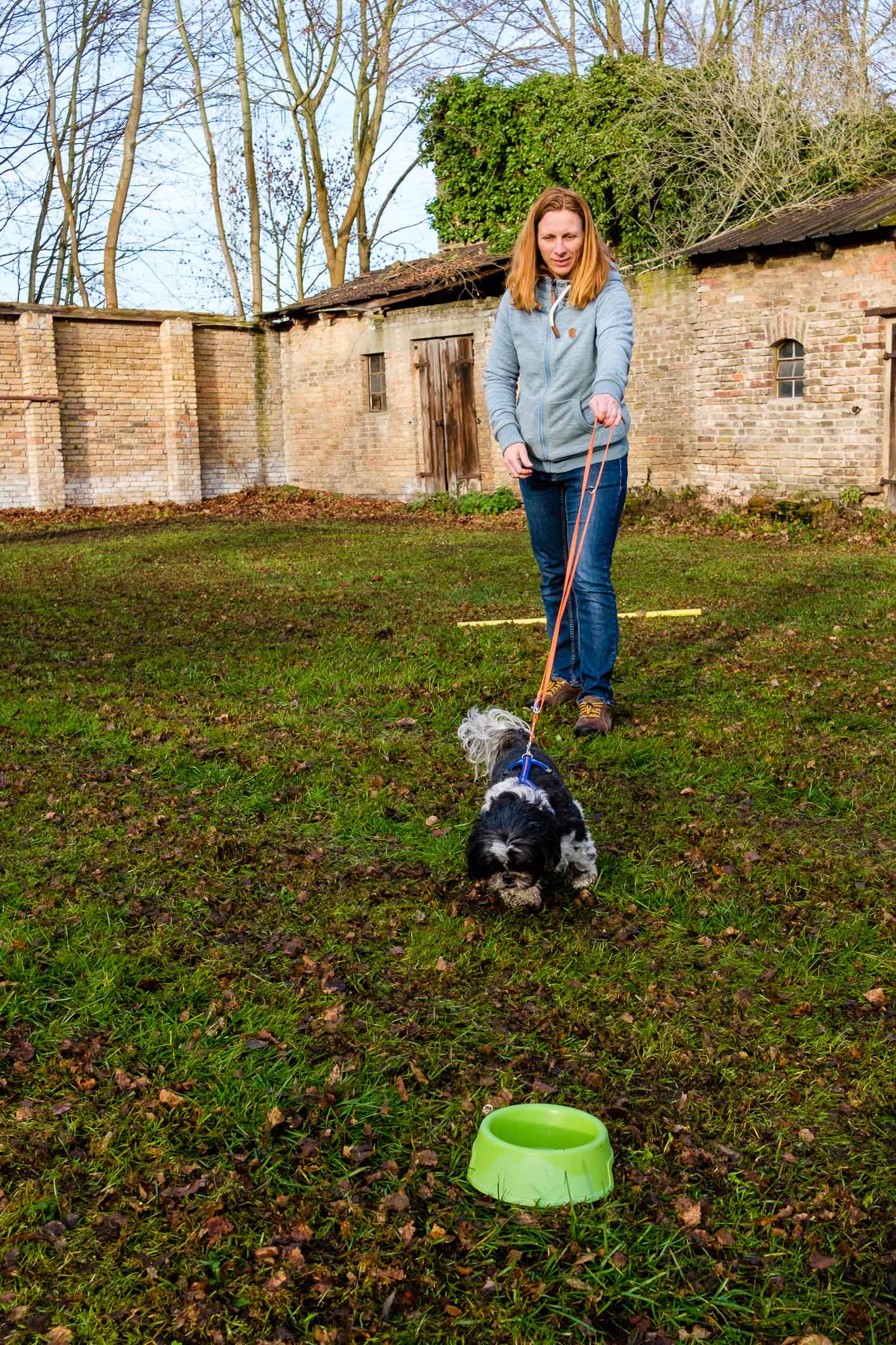Sobald der Hund zieht, geht es nicht weiter vorwärts, sondern ...