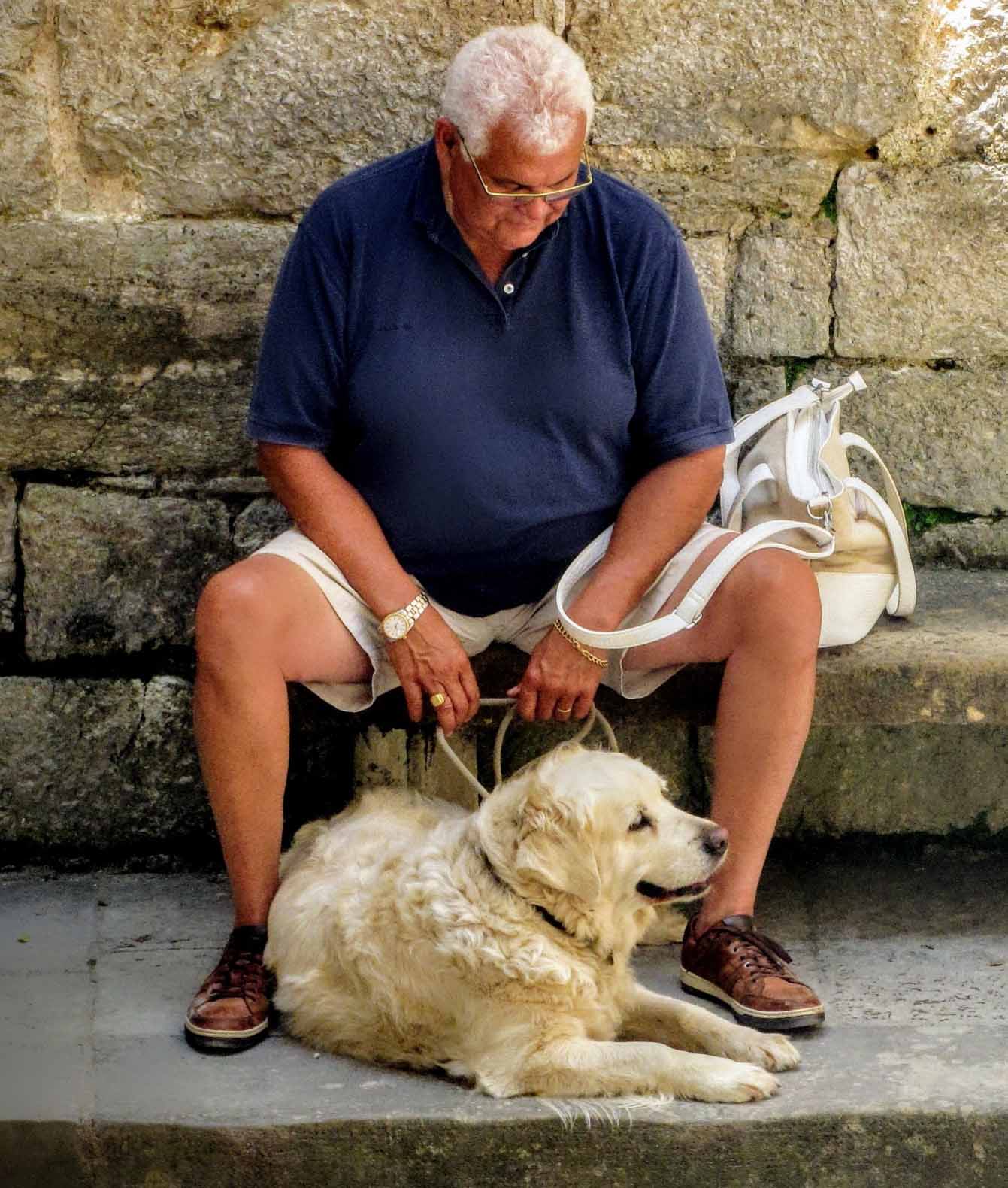 Entspanntes Hinschauen mit offener Schnauze zum entgegenkommenden Menschen führt zu Distanzvergrößerung.