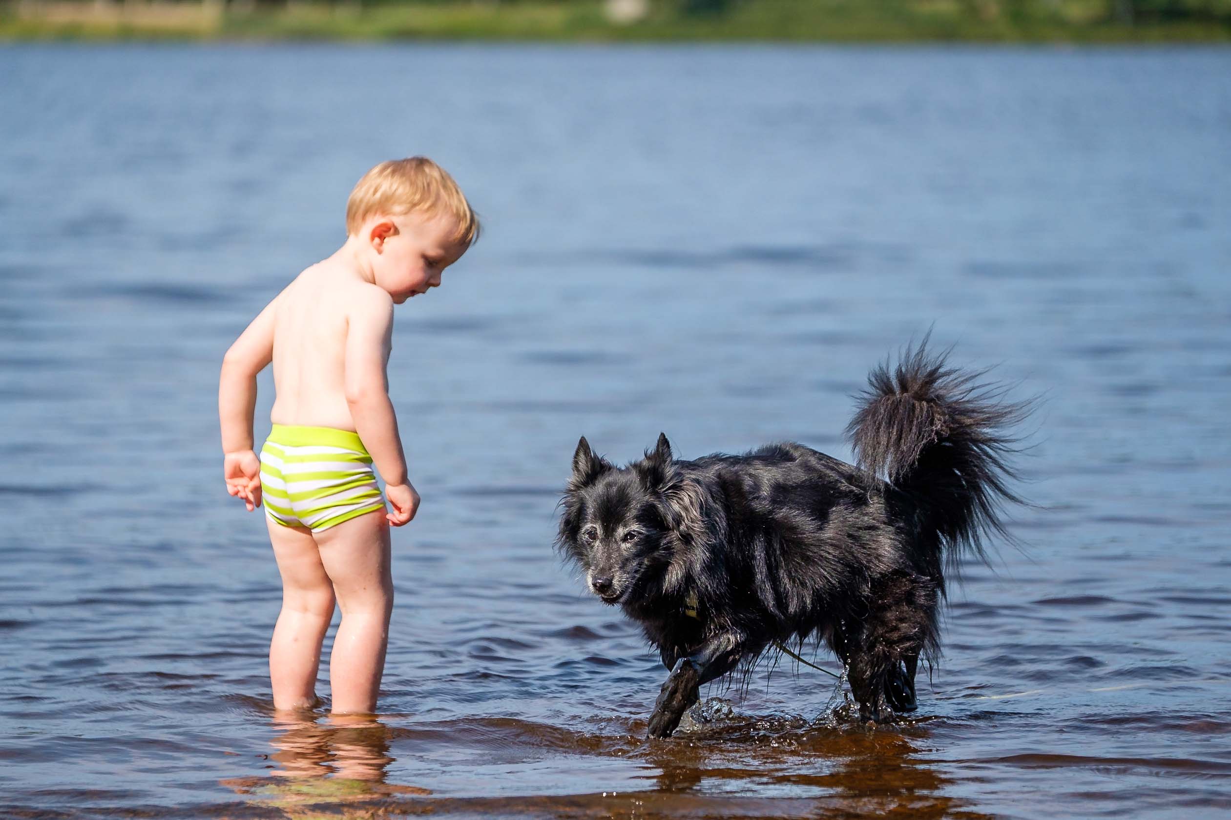 Vor allem kleinere Kinder sind oft noch grobmotorisch und können dem Hund wehtun oder ihn erschrecken. Foto: Robert Hell DSF0362