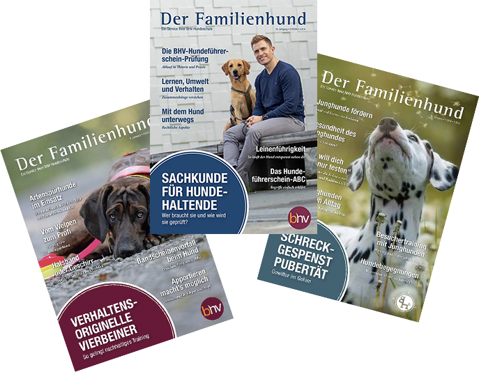 2021 mediadaten beispielausgaben